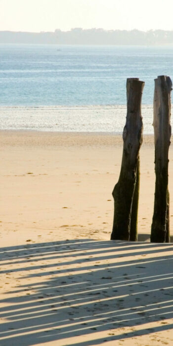 Traditional wooden stakes at Saint-Malo (Brittany, France)