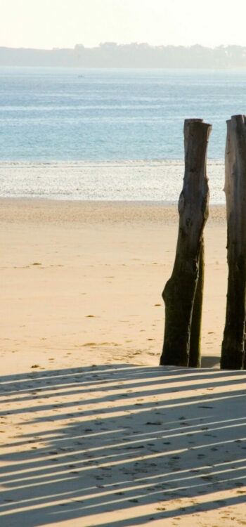 Traditional wooden stakes at Saint-Malo (Brittany, France)