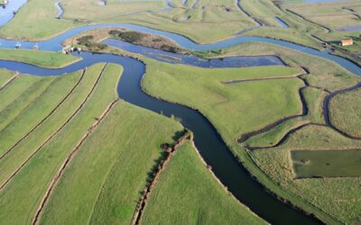 Marais breton vendéen - 5 bonnes raisons de choisir la côte Atlantique