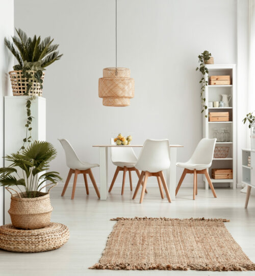 Plants on shelves and rug in white apartment interior with chairs at dining table under lamp. Real photo