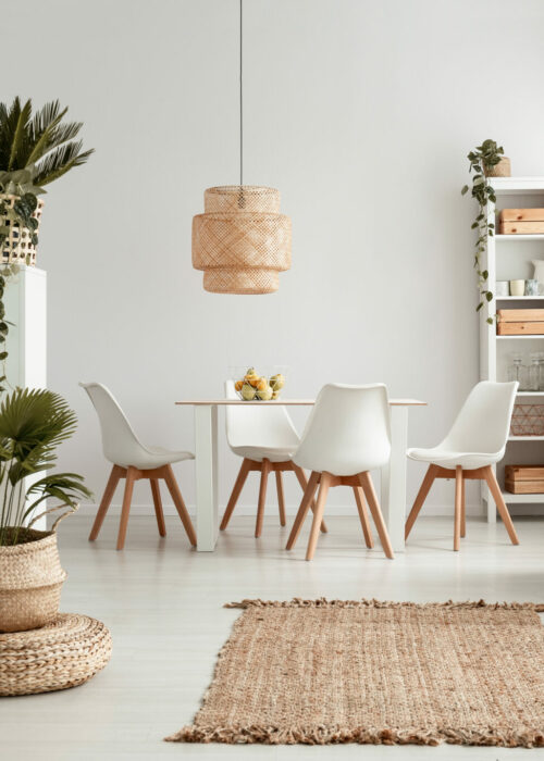 Plants on shelves and rug in white apartment interior with chairs at dining table under lamp. Real photo