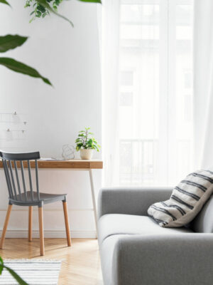 Modern scandinavian living room with design furniture, grey sofa
