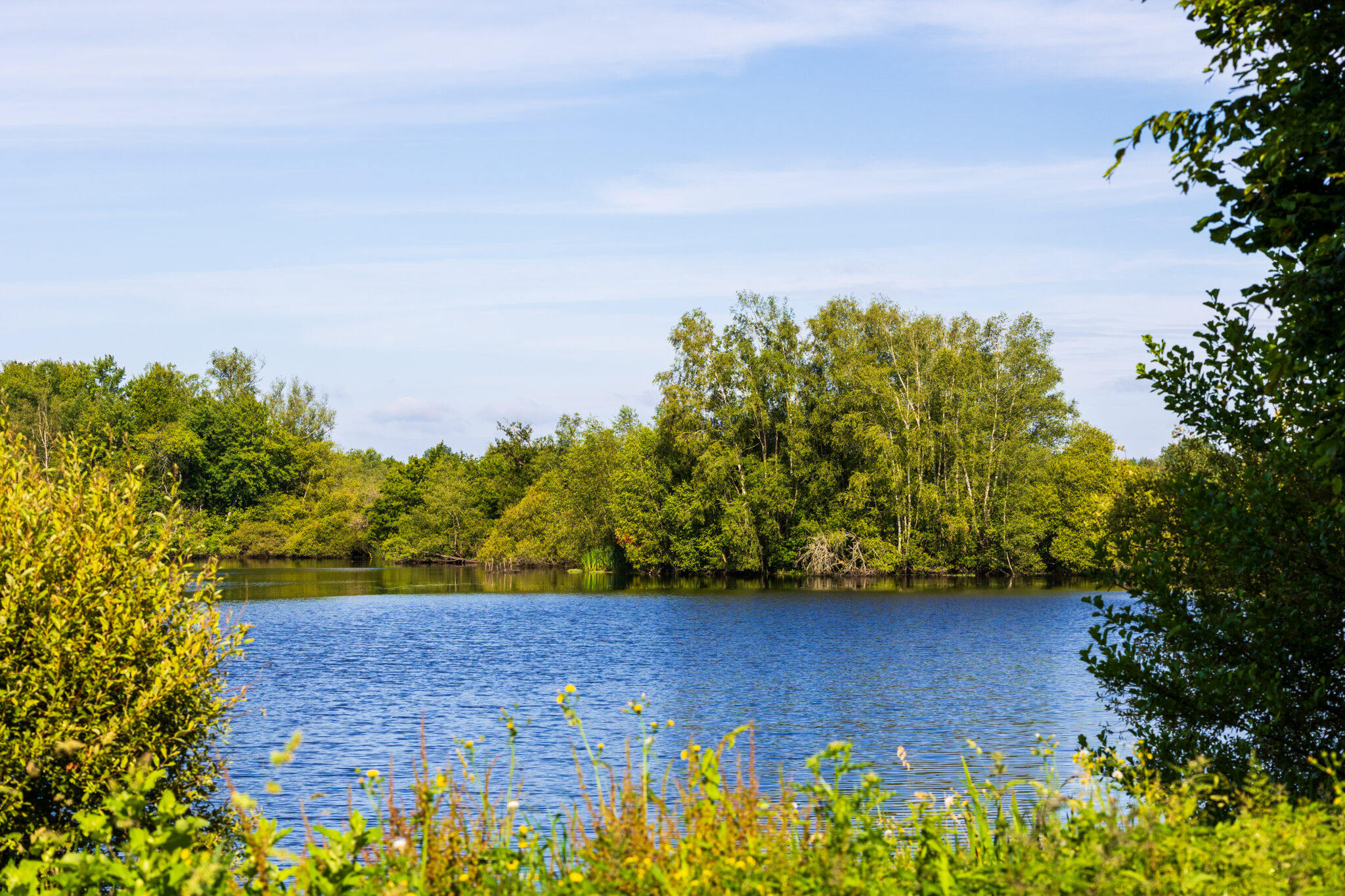 marais du grand hazé, briouze